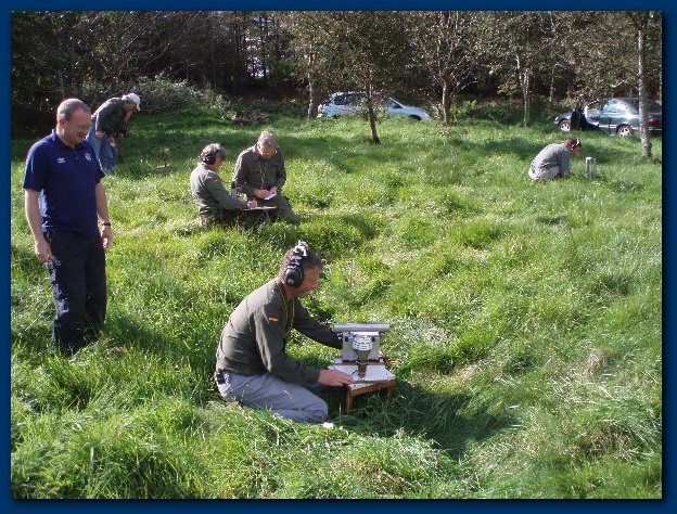 600x449 pixels (214K)